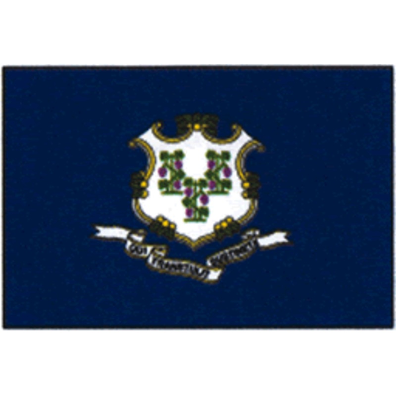 Taylor Made Ct State Flag 12×18 [93094]