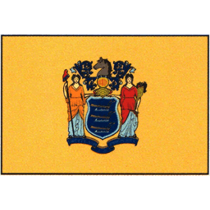 Taylor Made New Jersey State Flag 12×18 [93116]