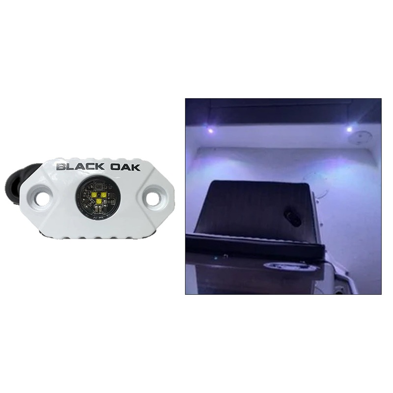 Black Oak Rock Accent Light – White LEDs – White Housing [MAL-W]