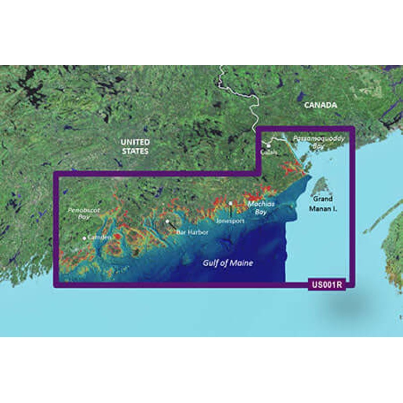 Garmin VUS001R G3 Vision North Maine