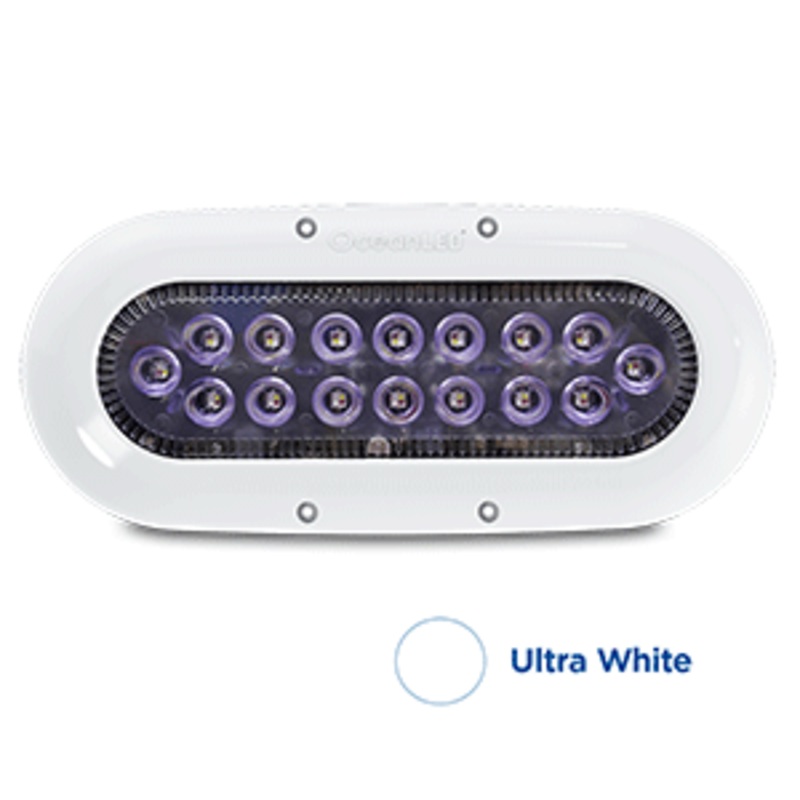 OceanLED X-Series X16 – White LEDs