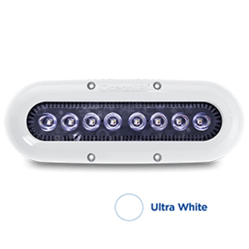 OceanLED X-Series X8 – White LEDs