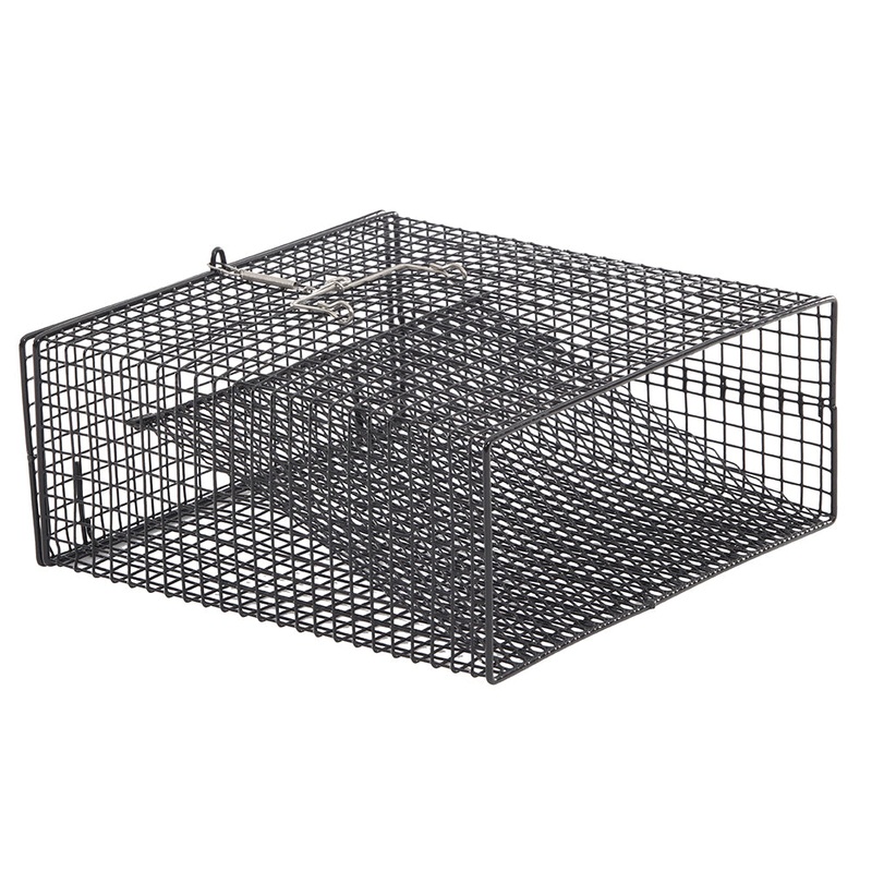 Frabill Crawfish Flat Bottom Square Trap – 12″ x 12″ x 5″ [1262]