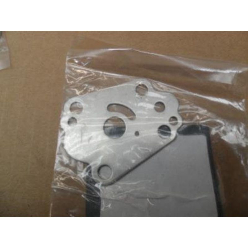 Evinrude Johnson Panel 5037431