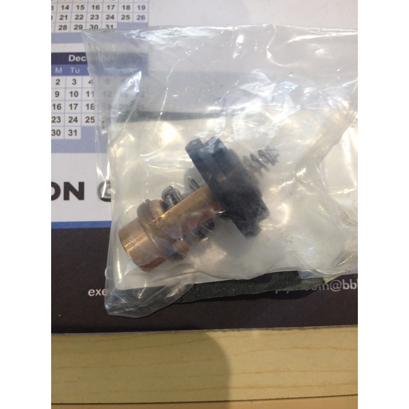 Thermostat Evinrude/Johnson 5040958