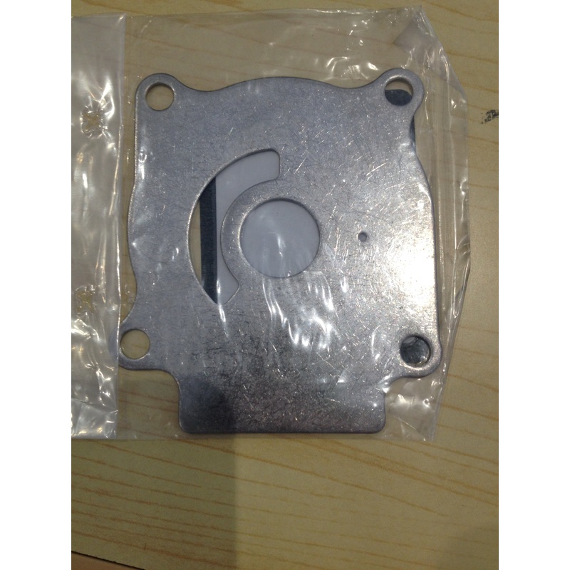 Evinrude Johnson Water Pump Plate 5031418