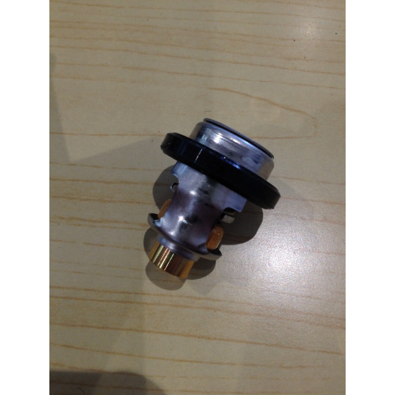 Thermostat 60 degree Celsius 5031758