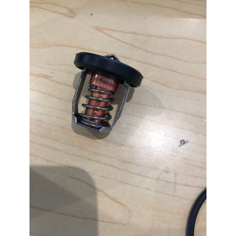 Thermostat assembly 5033385