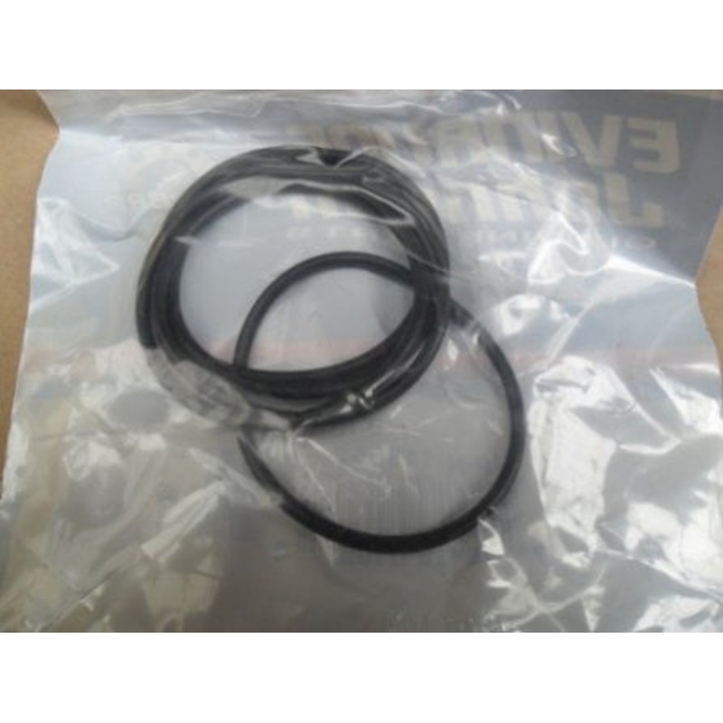 Evinrude Johnson O-Ring 0319662