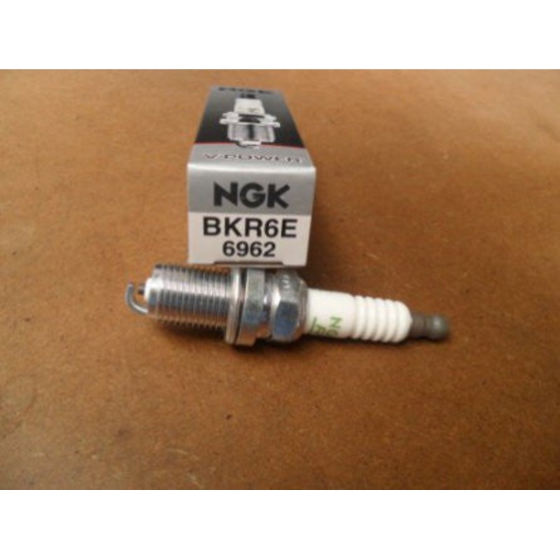 Evinrude Johnson Champion Spark Plug BKR6E