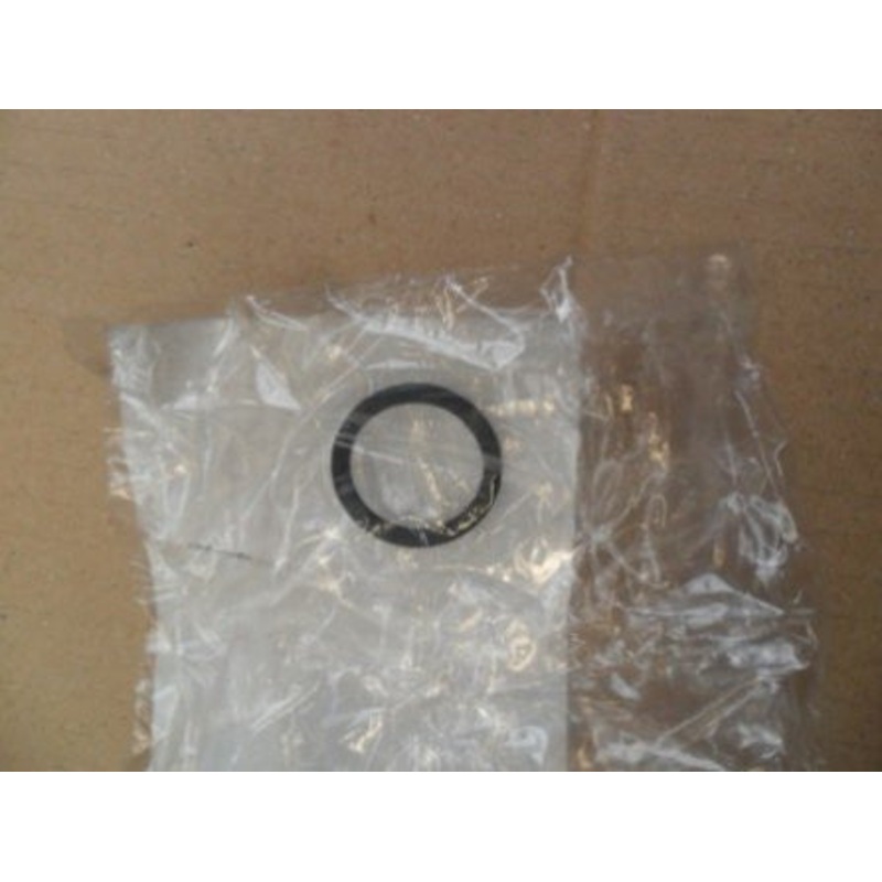 Evinrude Johnson Thermostat Seal 0339299